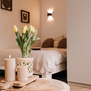 Casa La Vida Beach House & Free Bikes